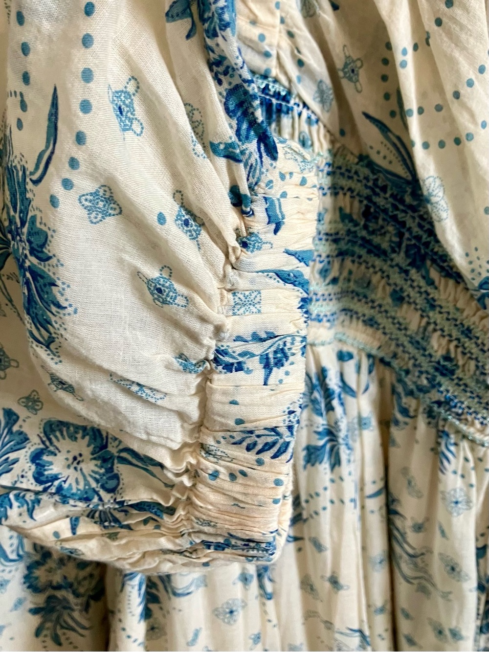 Free People Cream Maxi Dress with Blue Floral Print - Picture 4 of 9